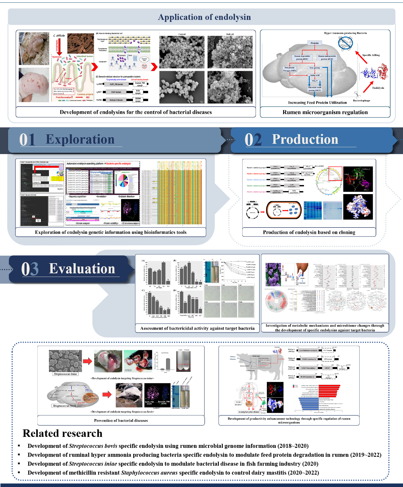 Researches03